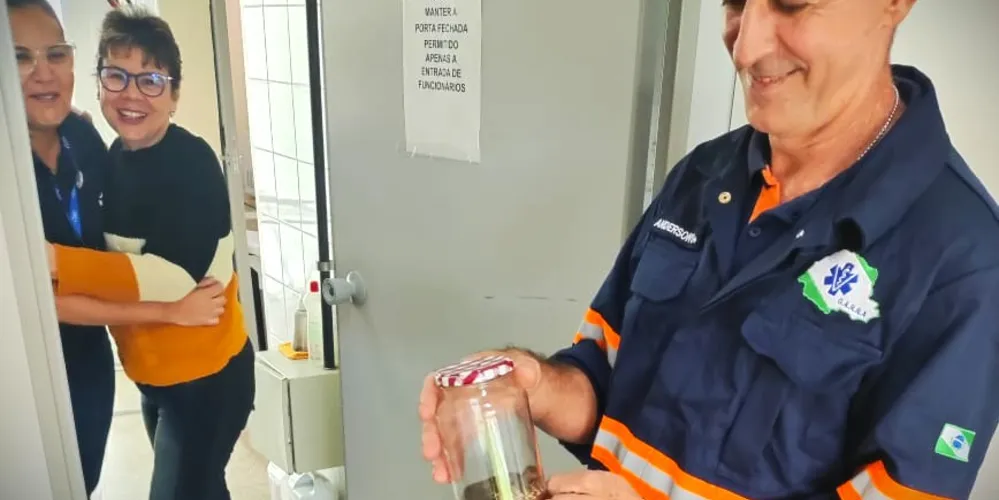 Cobra foi colocada dentro de um pote de vidro