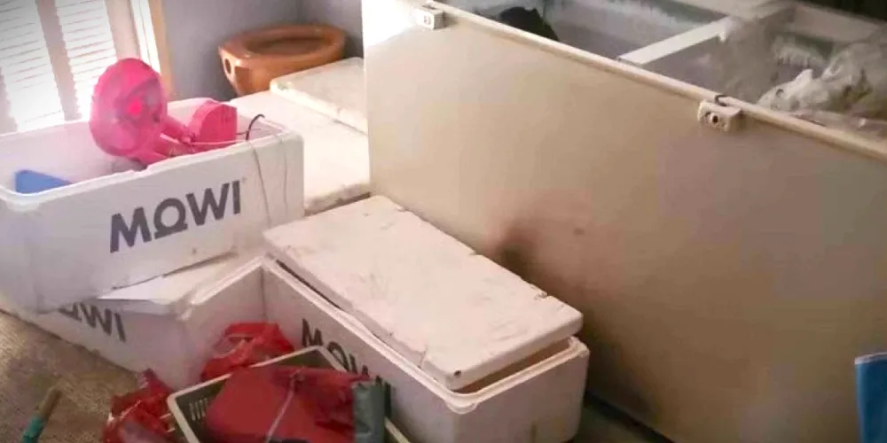 Dentro do veículo abandonado pela suspeita havia serrote, corta e restos de carvão