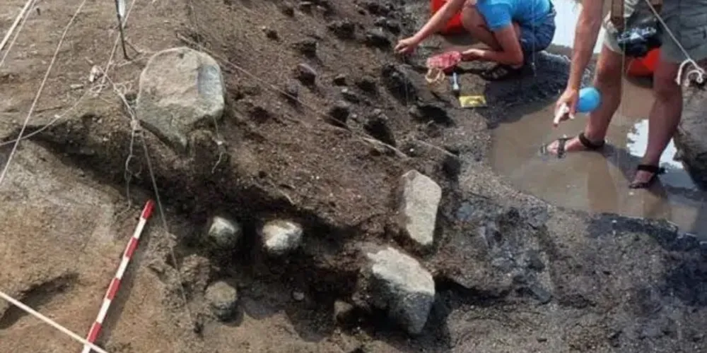 As descobertas ajudam a entender a alimentação humana no passado