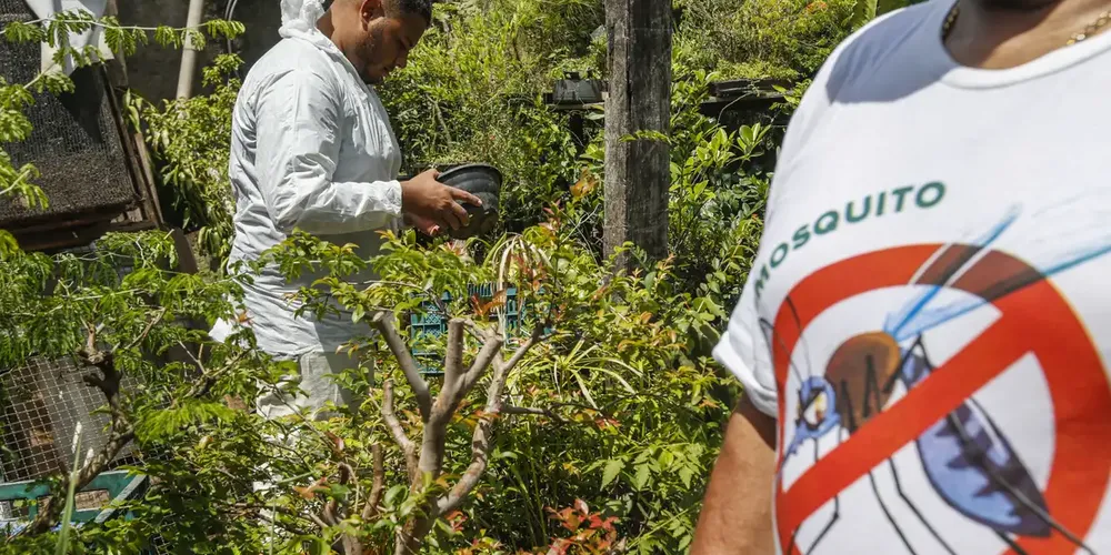 Paraná é o quarto estado com o maior coeficiente de incidência da dengue