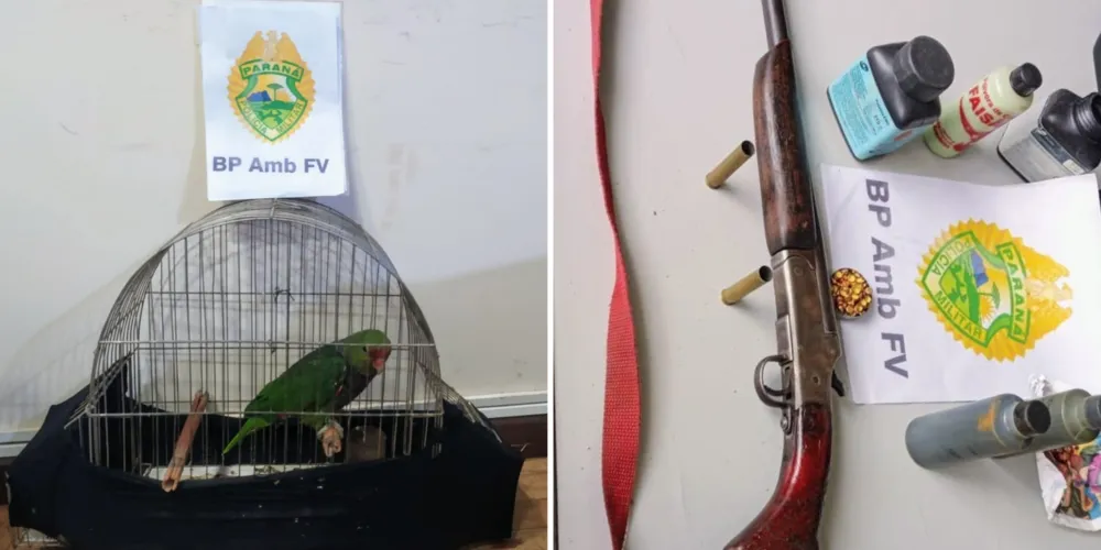 Papagaio era mantido em cativeiro