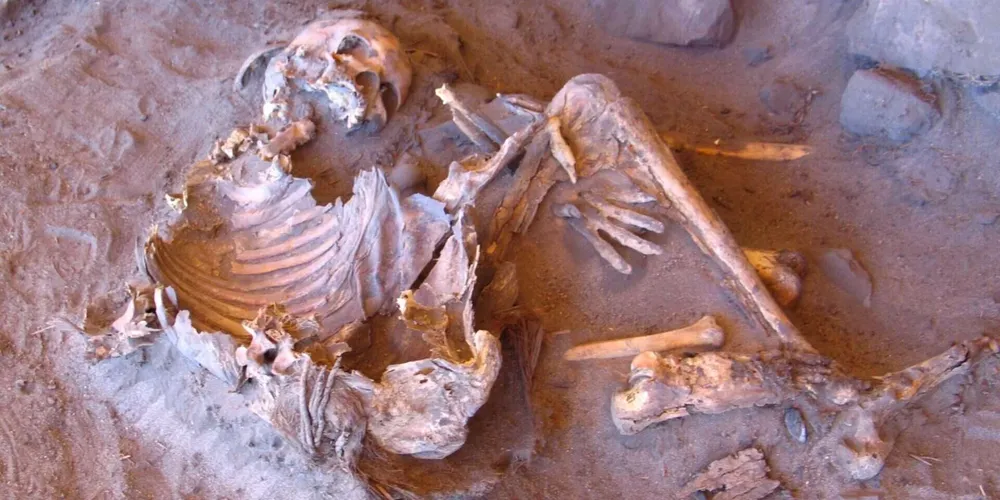 A descoberta de uma nova linhagem foi realizada na Líbia