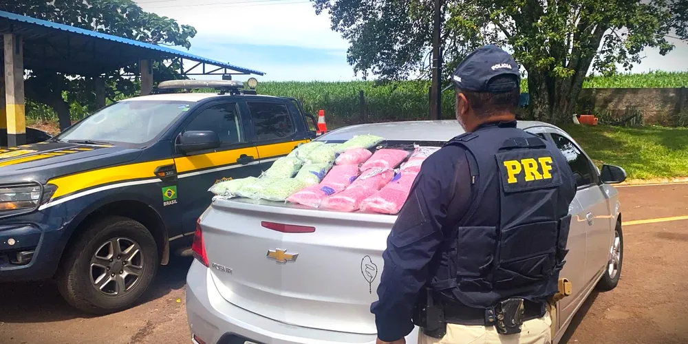 Droga psicoativa foi apreendida na BR-277 e totalizou 19 quilos