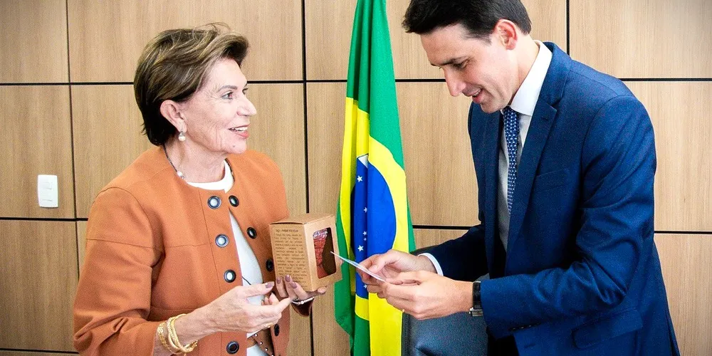 Elizabeth esteve reunida com o ministro em Brasília, na última quarta-feira (26)