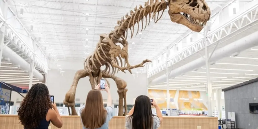 Pesquisa foi publicada na revista científica Palaeontologia Electronica