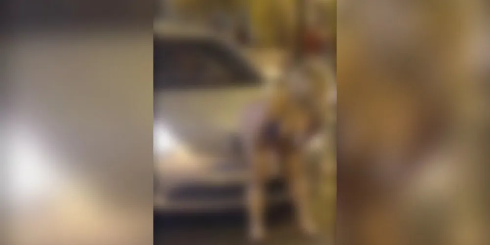 Segundo informações, o caso aconteceu na madrugada de hoje, por volta das 3 horas.