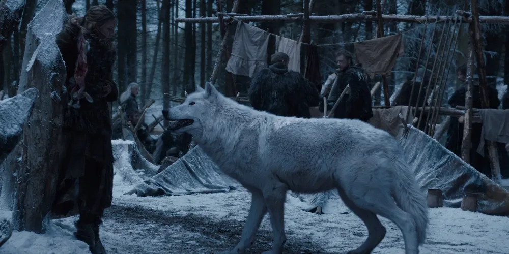 Os animais 'desextintos' eram símbolo da Casa Stark no seriado Game of Thrones