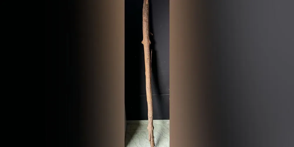 Pedaço de madeira utilizado no crime