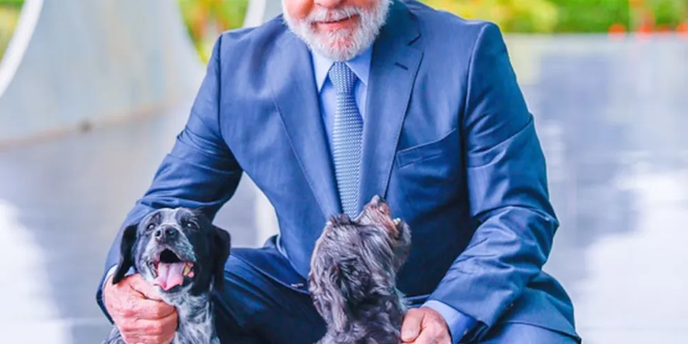 Lula lança programa 'SinPatinhas', que registrará animais domésticos