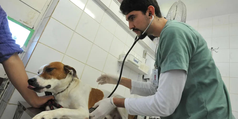 Graduação é uma demanda da comunidade, segundo o reitor