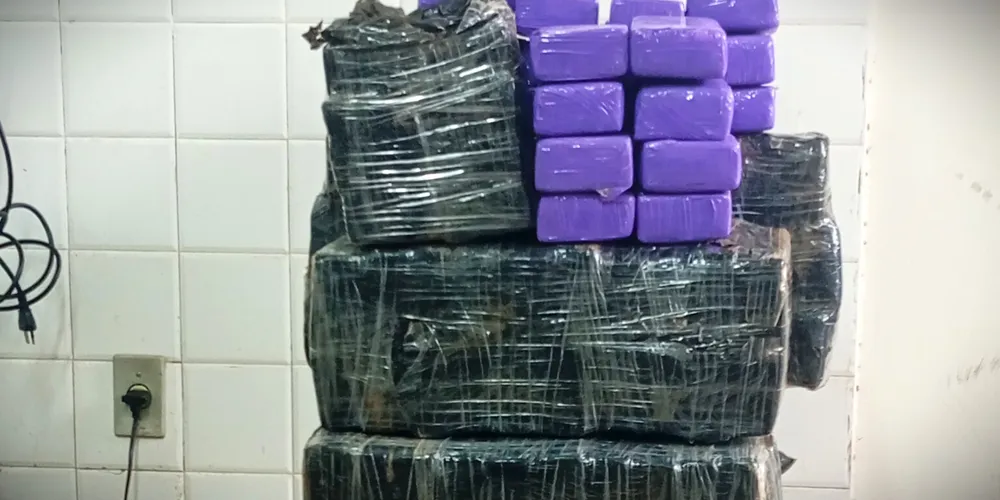 Drogas foram localizadas após operação conjunta das forças de segurança