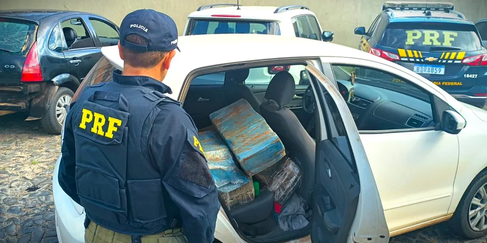 Droga foi encaminhada à delegacia do Município