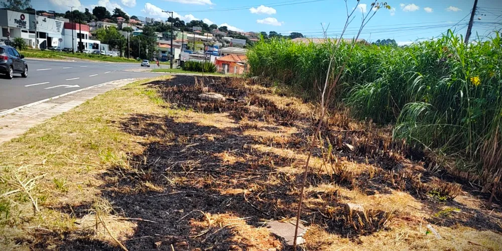 Situação foi registrada na avenida Visconde de Taunay, na Ronda