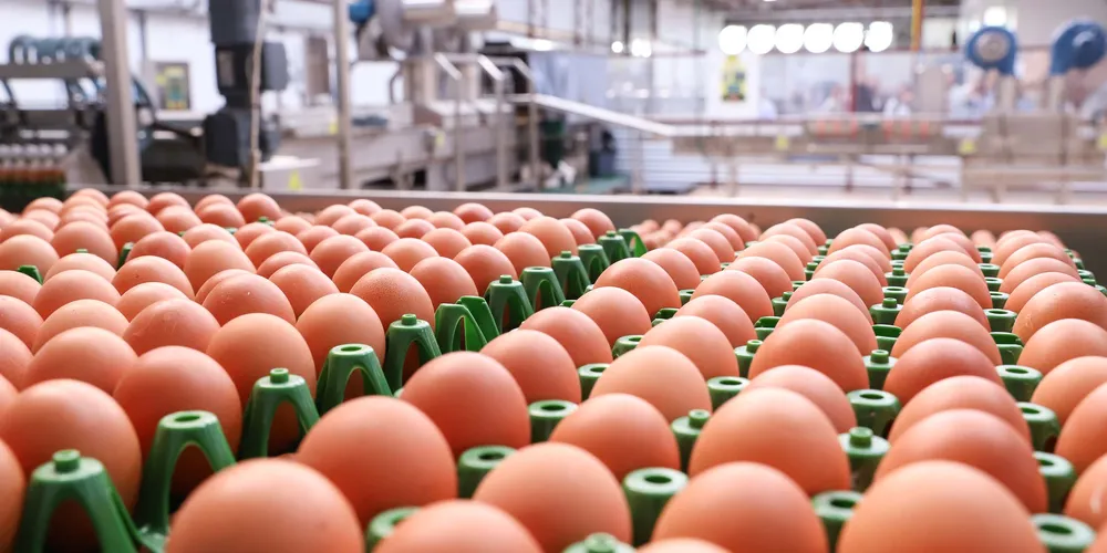 Valor do produto teve aumento de quase 38%