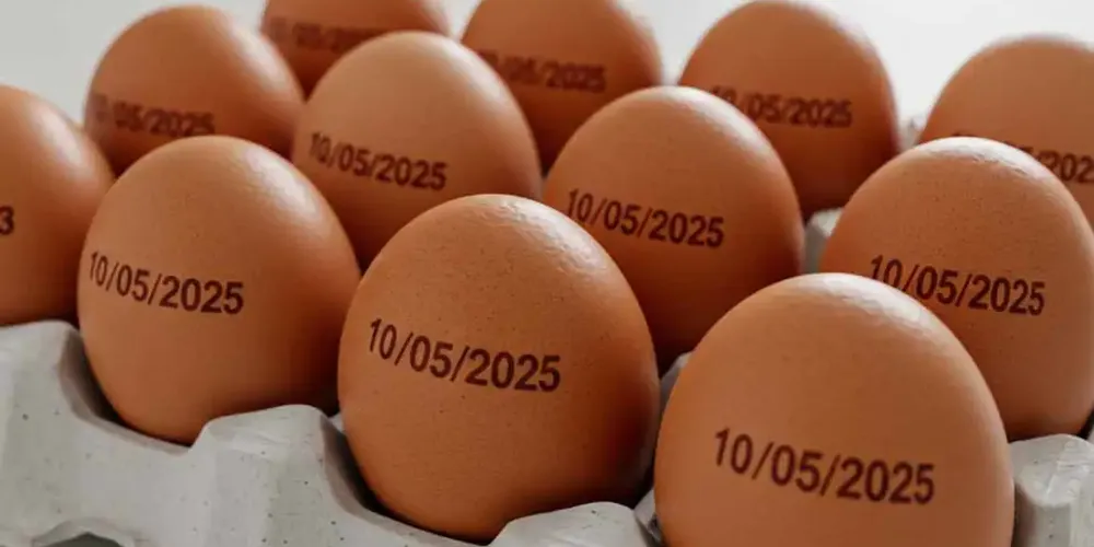 Portaria exigia que informação sobre prazo constasse de cada unidade