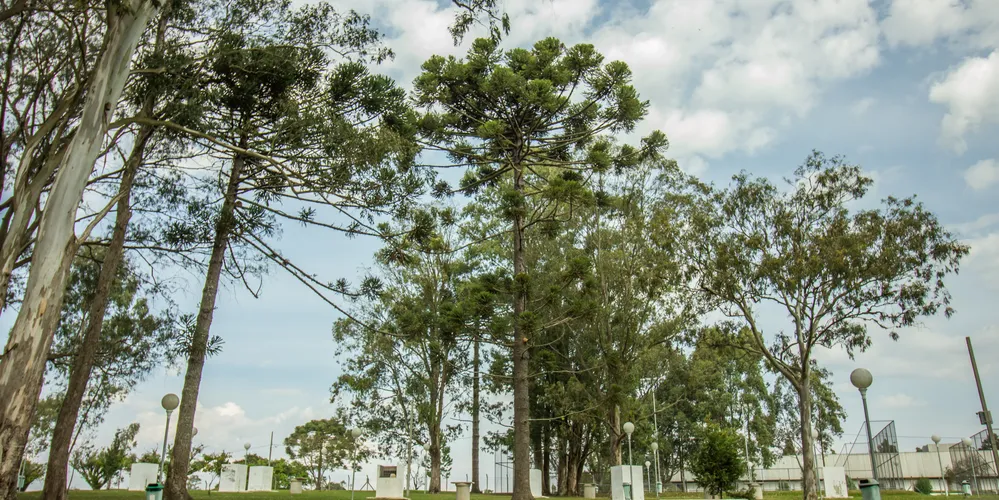 Nuvens devem aparecer no início da manhã