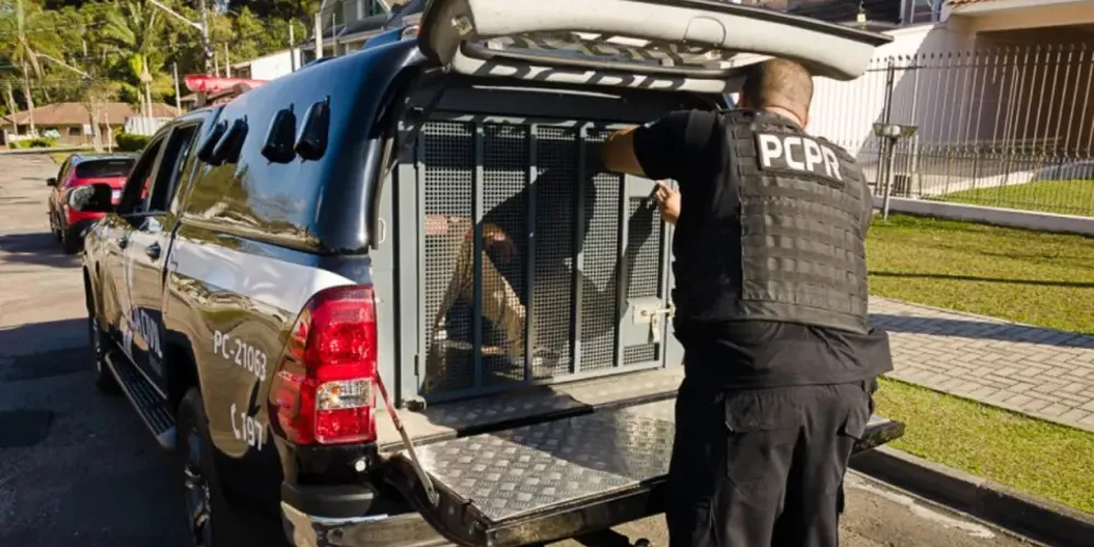 A polícia civil está a frente do caso