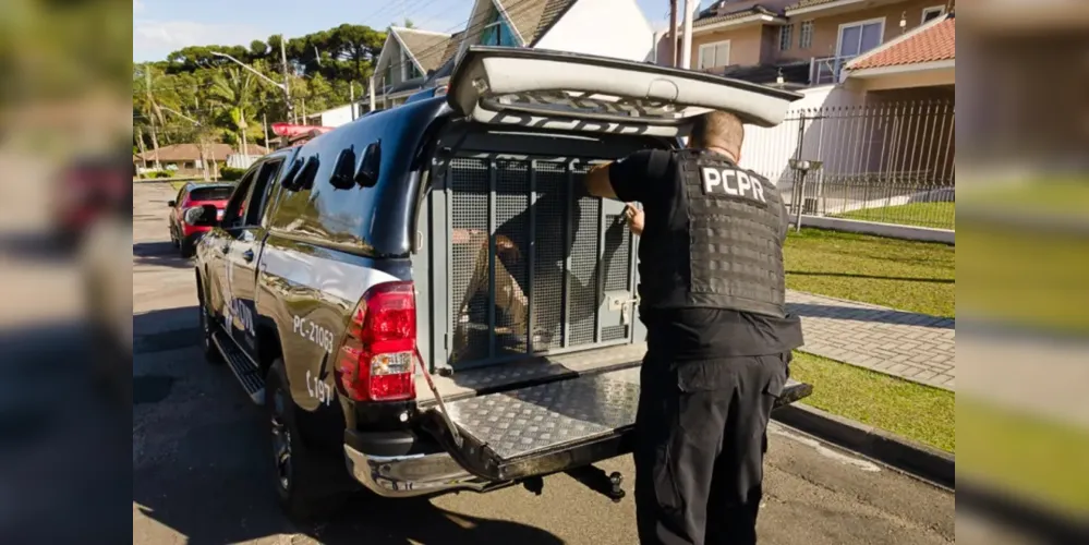 A polícia civil está a frente do caso