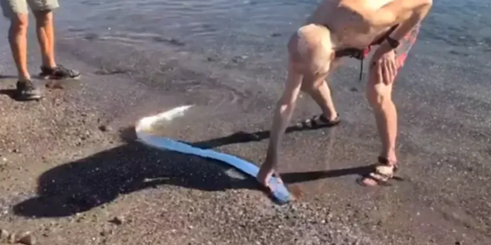 A lenda se popularizou depois do terremoto e tsunami de Fukushima, em 2011