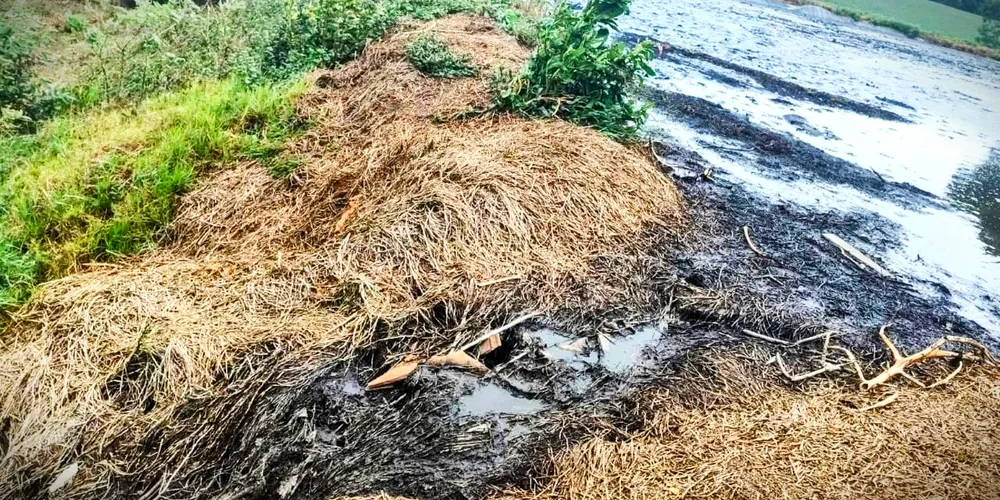 Poluição foi ocasionada por causa de uma atividade de suinocultura