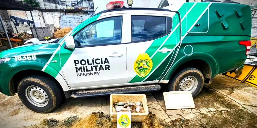 Equipe da Polícia Ambiental realizou a 'operação' após denúncia