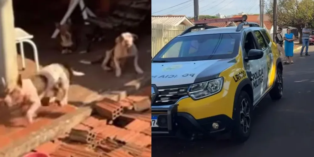 Polícia Militar foi acionada e registrou um boletim de ocorrências no local