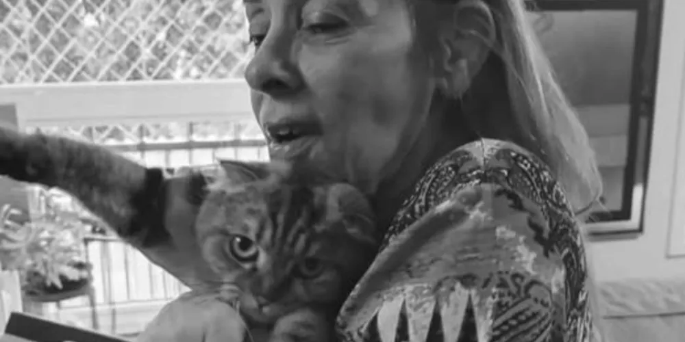 Regina Zanchi faleceu em Curitiba, nesta terça-feira (25)