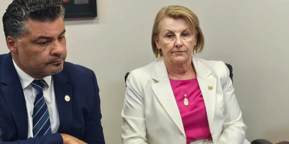 Imagem ilustrativa da imagem Em reunião com deputados, Huçulak pede respeito à prefeita