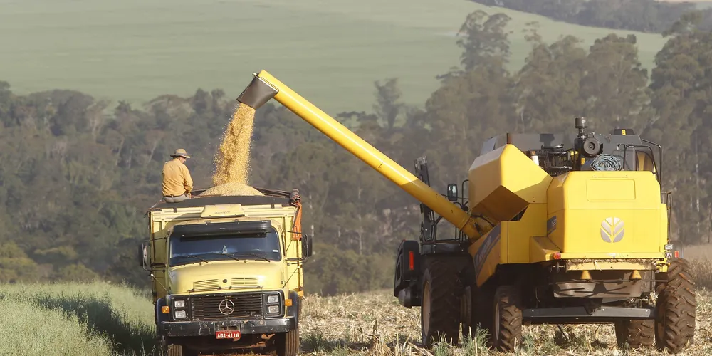 Expectativas para a segunda safra da cultura não são tão boas