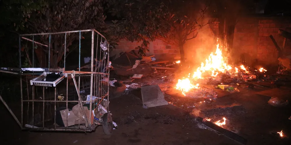 As chamas chegaram em uma árvore próxima