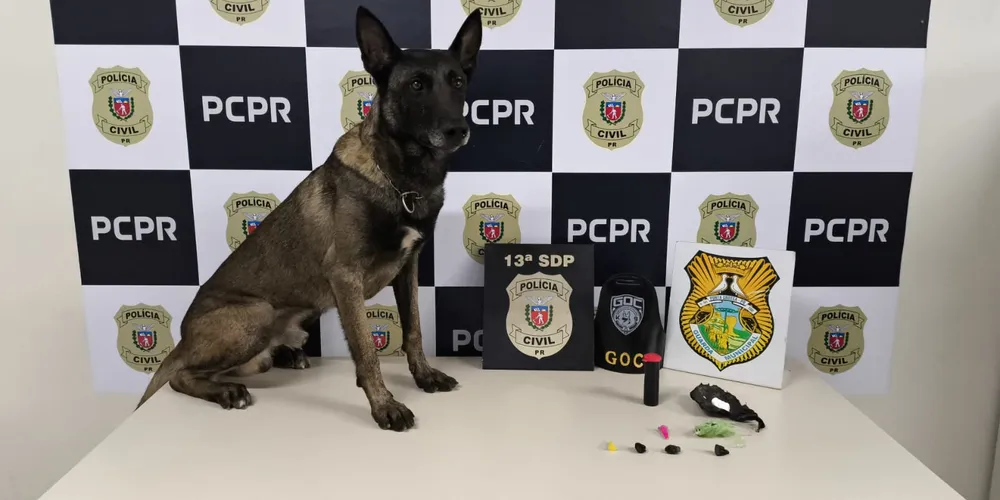 O Grupo de Operações Com Cães, da GCM, auxiliou na busca pelas drogas