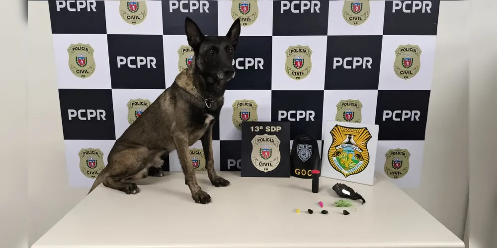 O Grupo de Operações Com Cães, da GCM, auxiliou na busca pelas drogas