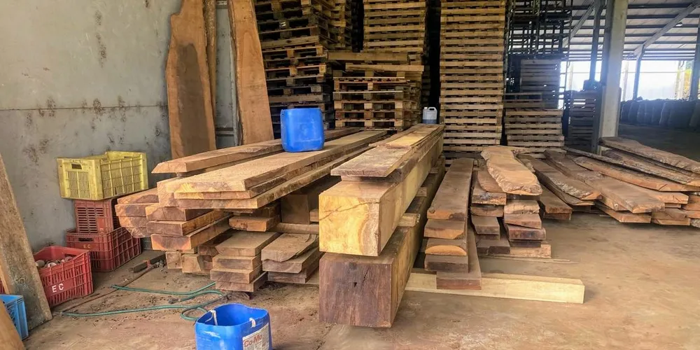 No local, foram encontrados 30,22 metros cúbicos de imbuia, 5,04 metros cúbicos de pinheiro araucária e 0,81 metro cúbico de angico