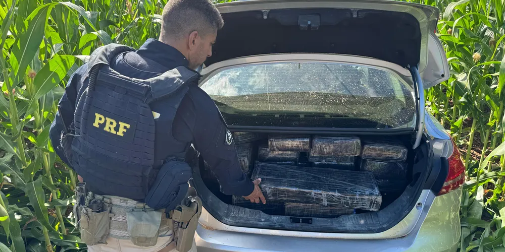 A equipe efetuou buscas na região, mas não foi possível localizar o condutor