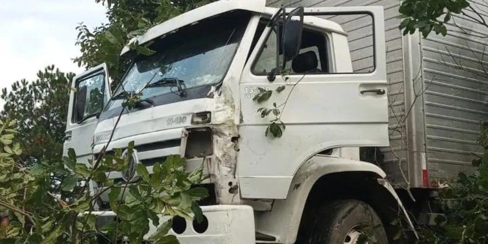 Caminhão vinha em alta velocidade e atingiu parte das árvores do Parque Monteiro Lobato