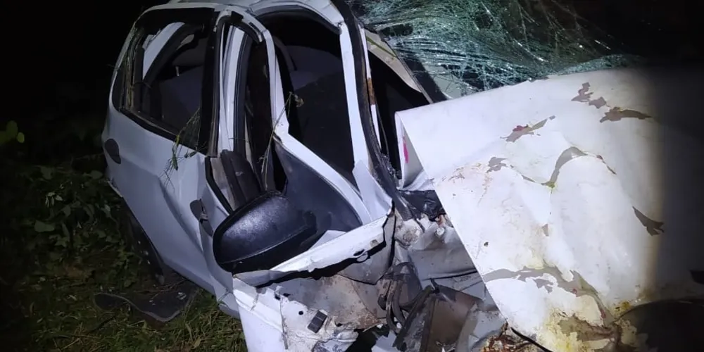 Veículo saiu da pista e colidiu contra uma árvore