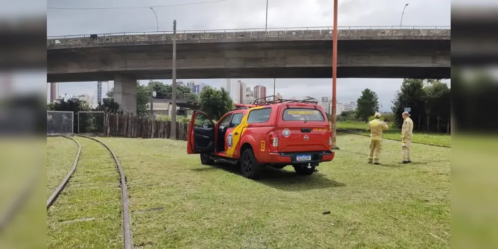 Autoridades policiais estiveram no local coletando informações para apurar o caso