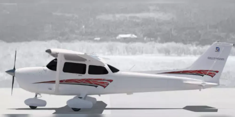 Os dois aviões eram monomotores de asa fixa; imagem de um Cessna 172S Skyhawk