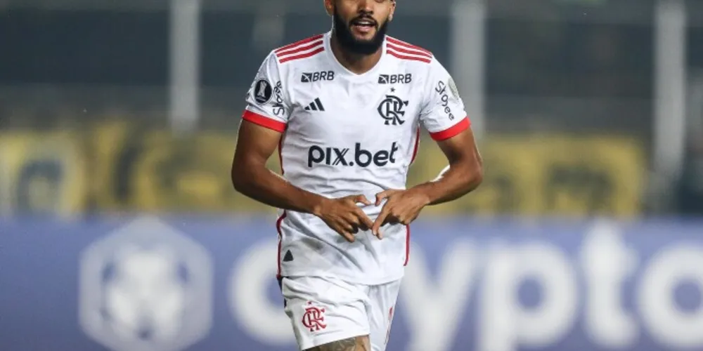 Juninho marcou o gol da vitória rubro-negra.