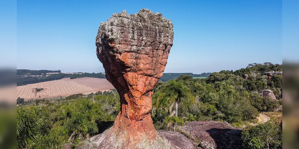 Taça Vila Velha