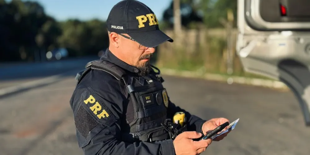 A análise dos dados mostra que 42,8% das mortes ocorreram por atropelamento e 57,2% em colisões