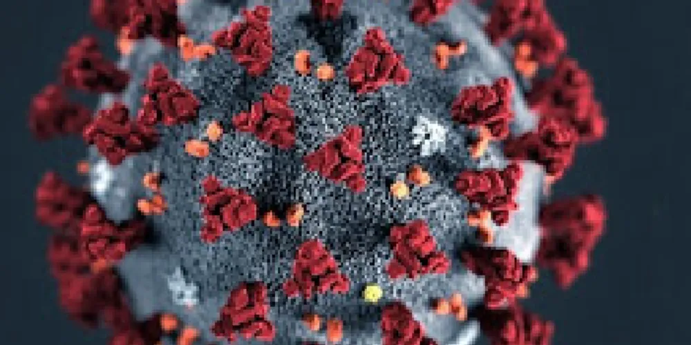 O estudo foi realizado em um laboratório na cidade de Guangzhou