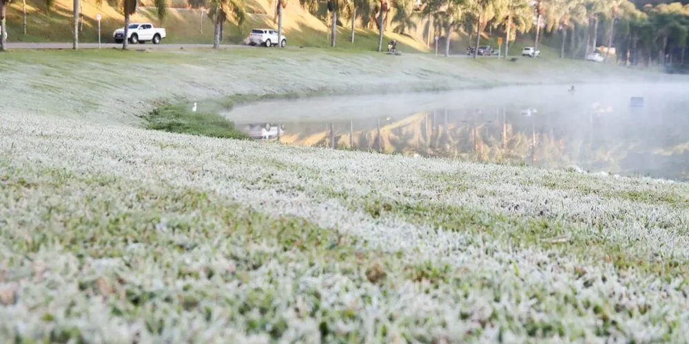 Paraná registrou apenas geadas fracas no inverno 2023