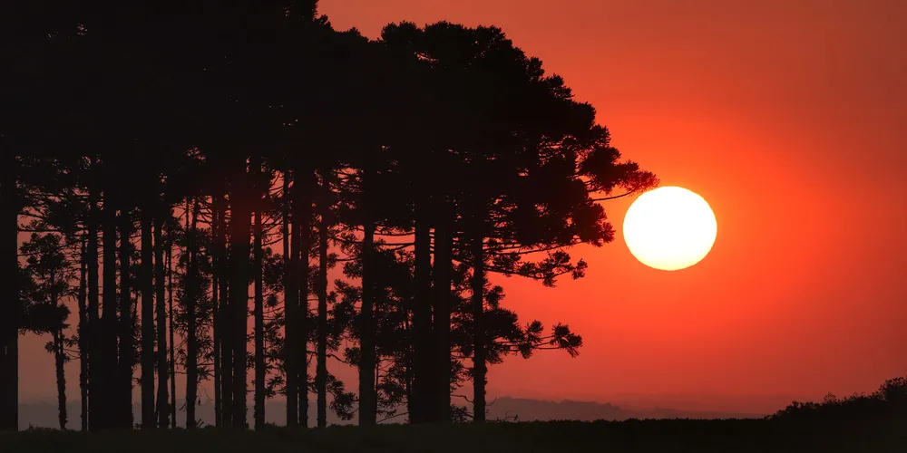 Simepar prevê que os termômetros cheguem aos 33ºC no Oeste e Norte do Paraná