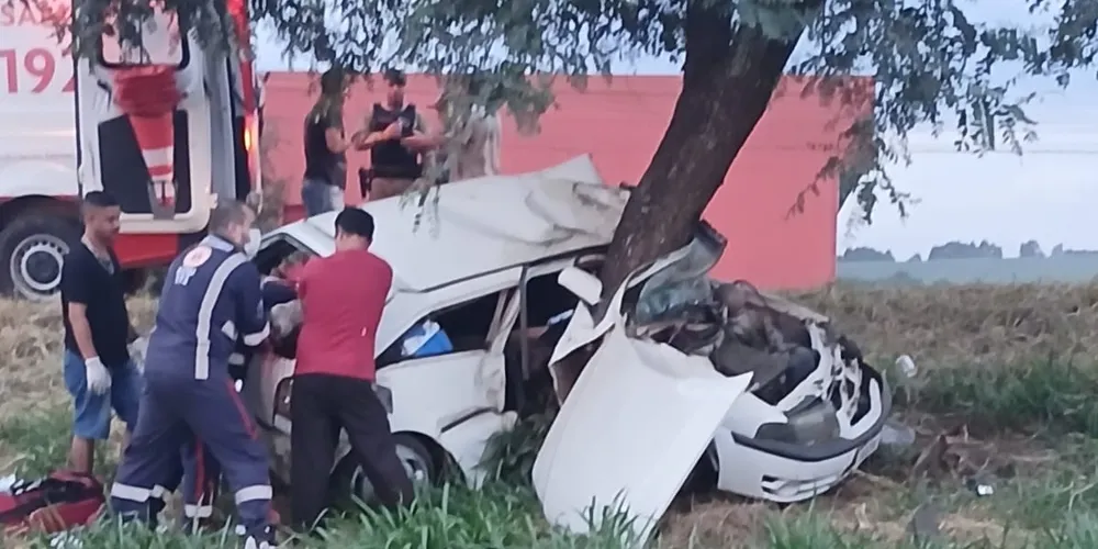 Condutor teria perdido o controle da direção, saído da pista e colidindo contra a árvore