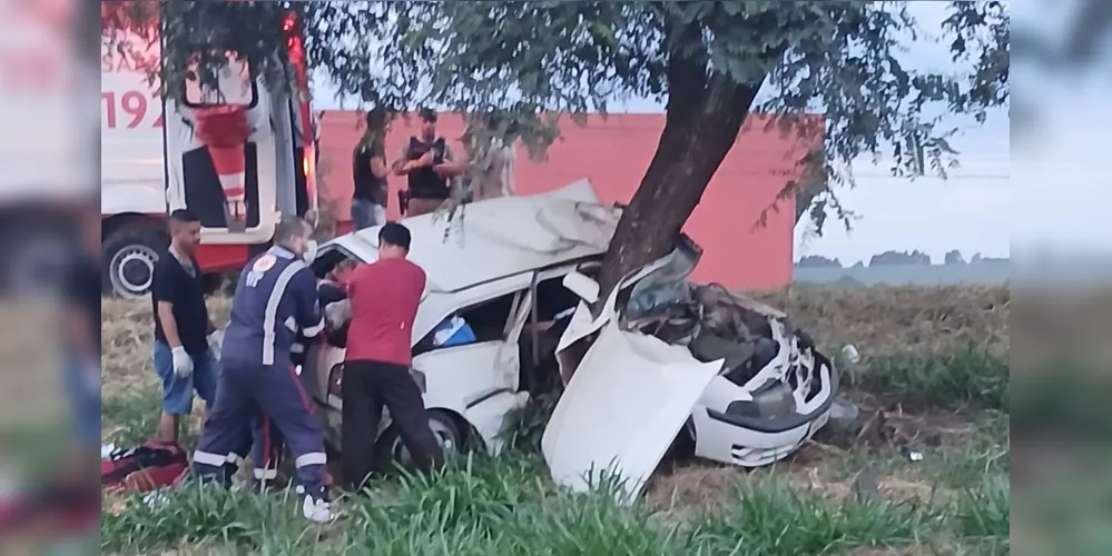 Condutor teria perdido o controle da direção, saído da pista e colidindo contra a árvore