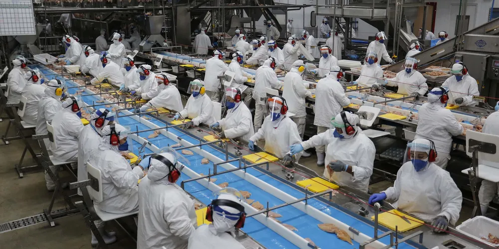 A maior parte é para alimentador de linha de produção, com 5.876 oportunidades