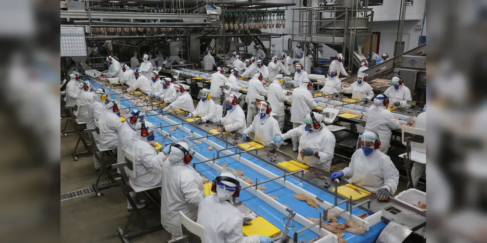 Volta do feriado com oportunidade de emprego: semana tem 23 mil vagas