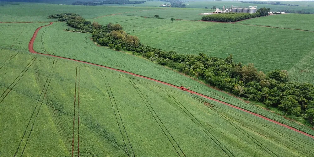2.ª safra do plantio de milho foi finalizada no Paraná