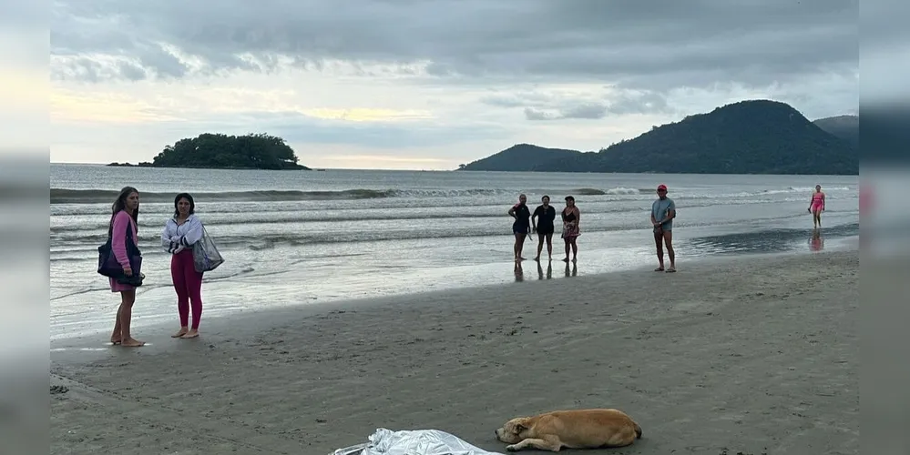 Cachorro ficou ao lado do corpo do dono a todo instante